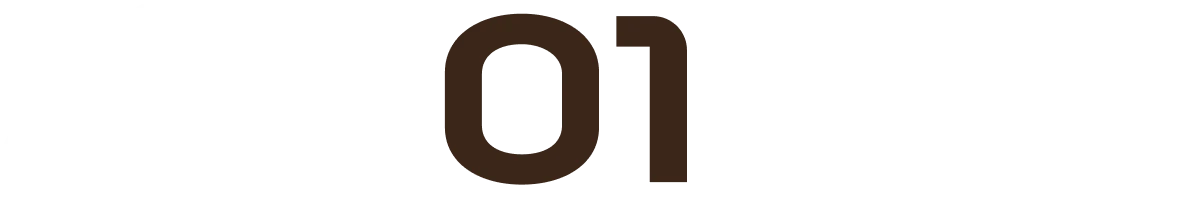 N01ZET Logo